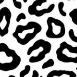 Meet your Posher, Ava